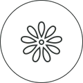 imgi_89_flower_icon_d35d626e-dc83-417b-815e-39e88edaa6dd.png